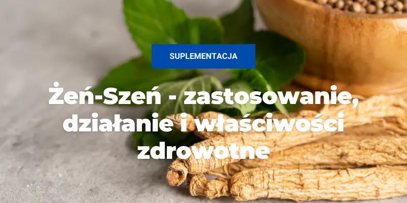 Żeń szeń zastosowanie, działanie i właściwości zdrowotne