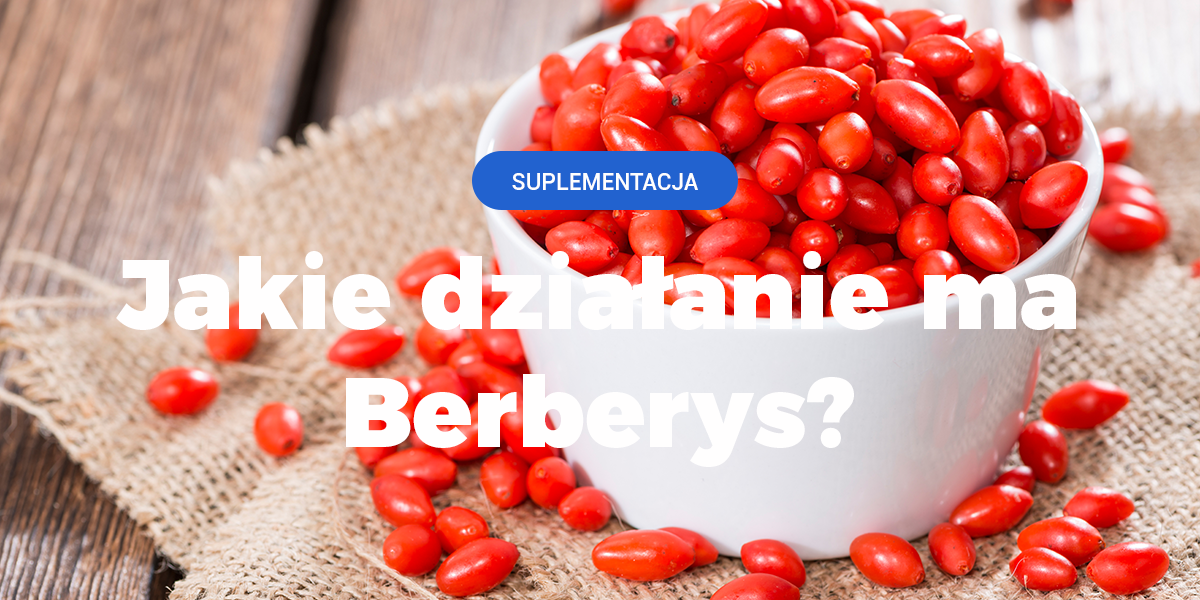 berberys owoce, berberyna, zastosowanie berberysu