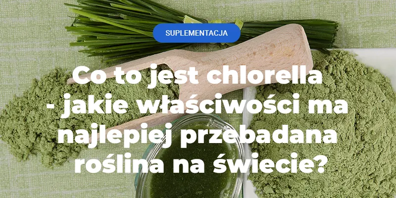 chlorella, algi morskie, chlorofil