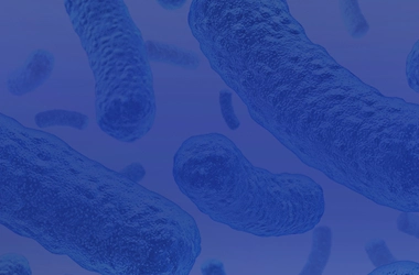 Prawidłowa mikroflora jelitowa, probiotyk co to? Najlepszy probiotyk