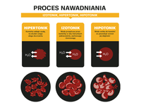 ISOSTAR Koncentrat 1500 g