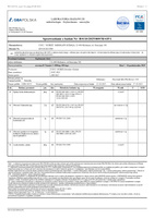 nowmax® Vitamin C 1000mg 100 kaps