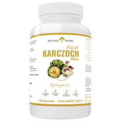 NATURAL HERBS Karczoch Ekstrakt 600 mg 120 kaps