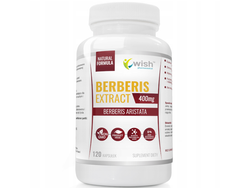 WISH Berberis Extract 5:1 400mg 120 kaps