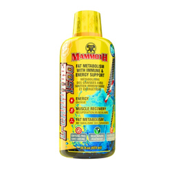 INTERACTIVE NUTRITION Mammoth L-Carnitine 1500 473 ml