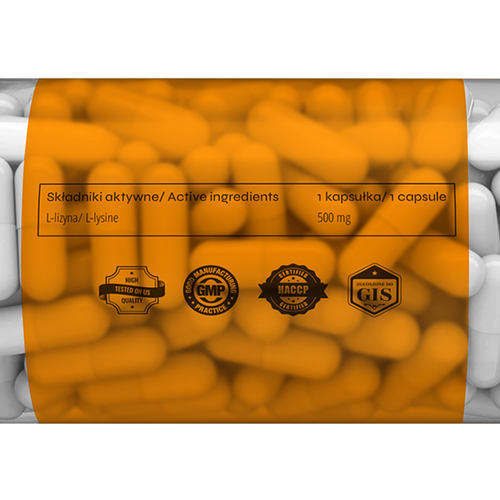 ECOMAX L-Lysine 500mg 90 kaps