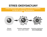 ISOSTAR Actifood Żel energetyczny 90g