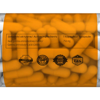 nowmax® GABA 60 kaps