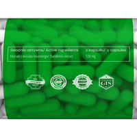 nowmax® Mniszek Lekarski ekstrakt 90 kaps