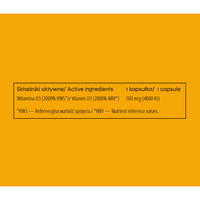nowmax® Vitamin D3 100mcg 4000IU 100 kaps