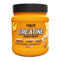 EVOLITE Creatine Monohydrate 500 g