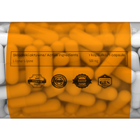 ECOMAX L-Lysine 500mg 90 kaps