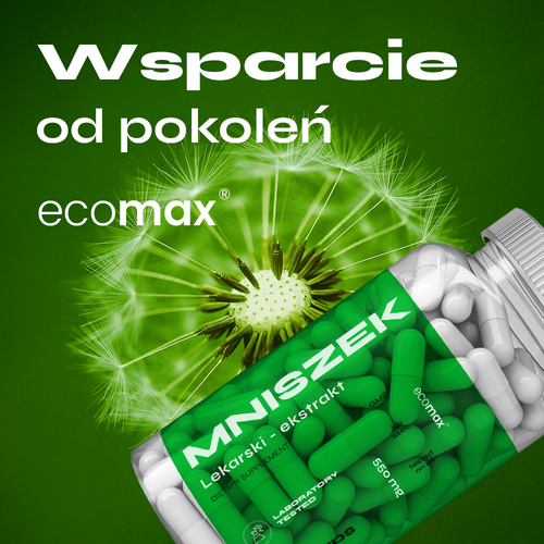 nowmax® Mniszek Lekarski ekstrakt 90 kaps