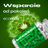 nowmax® Mniszek Lekarski ekstrakt 90 kaps
