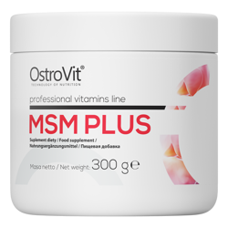 OSTROVIT MSM Plus 300 g