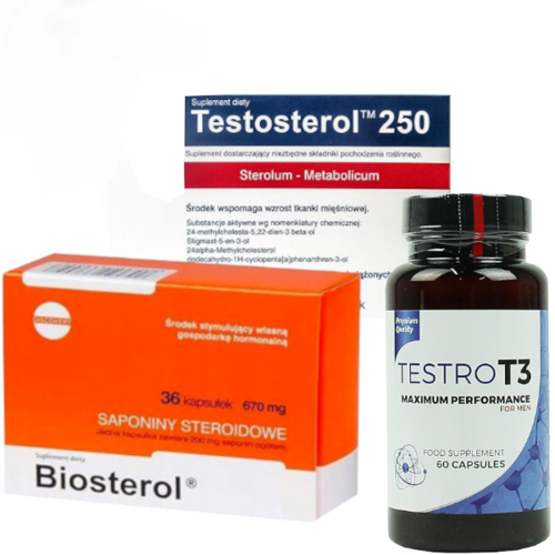 MEGABOL TESTOSTEROL + BIOSTEROL + outletw|TESTRO T3 60 kaps