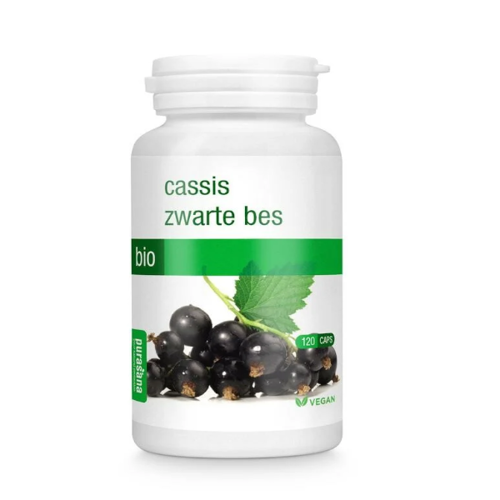 PURASANA Cassis Zwarte Bes 375 mg 120 kap
